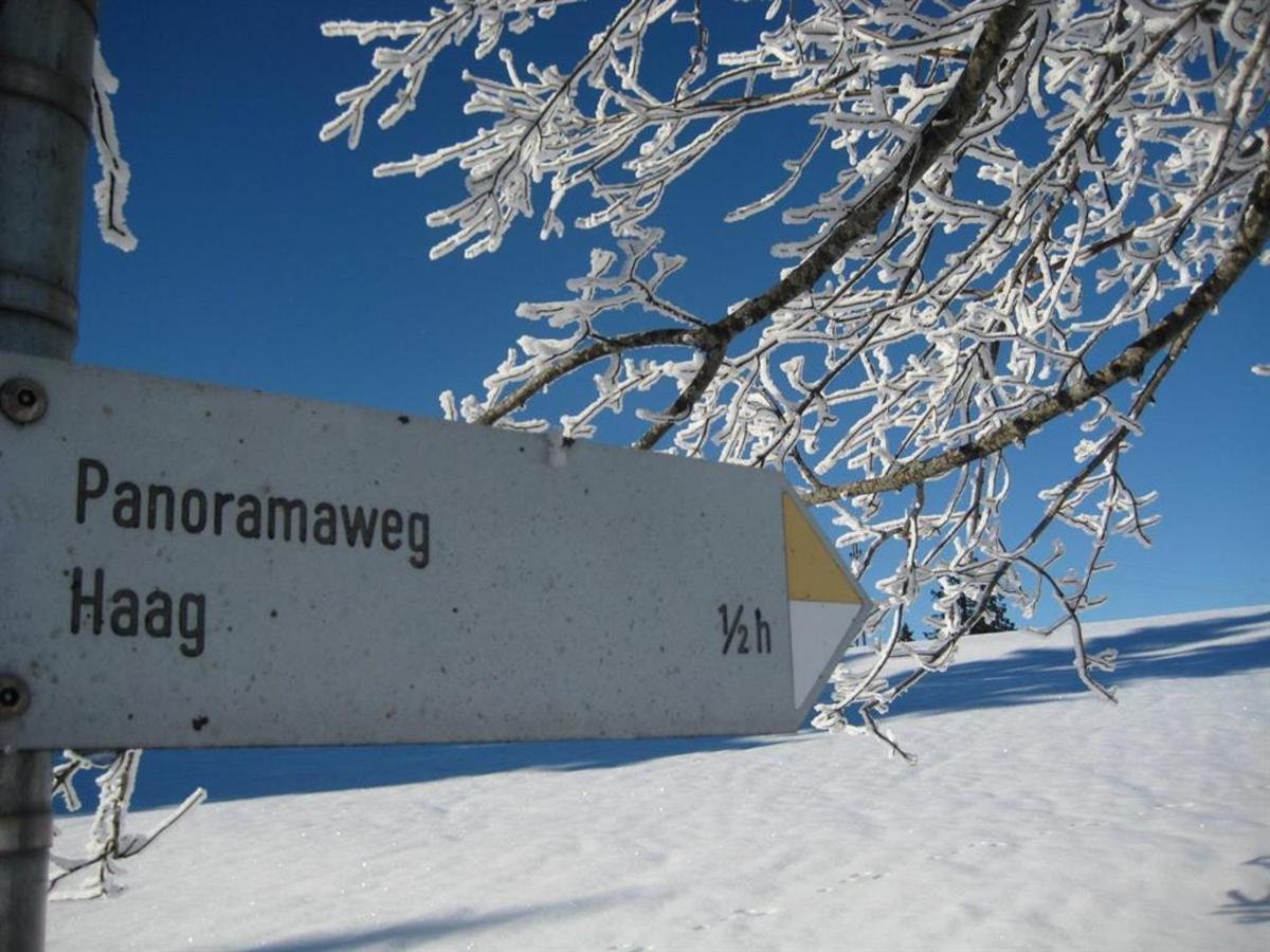 Haus Panorama Lägenhet Oy-Mittelberg Exteriör bild
